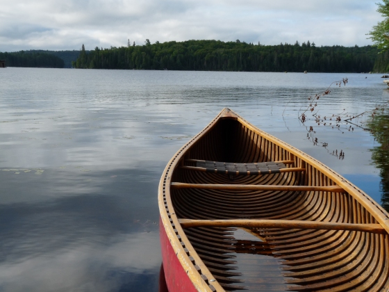 temagami a canoe trip into black history
